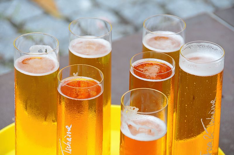 Sieben kleine Bier auf dem Tablett